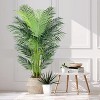 Boersma Tropical Palm Tree – 24 removable silk leaves, lush and realistic. Ideal for indoor/outdoor décor or as a stylish housewarming gift. - 4 of 4