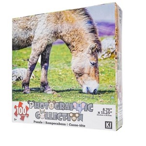 KI Puzzles Donkey 100 Piece Photographic Collection Jigsaw Puzzle - 1 of 4