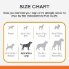 Nylabone Dura Chew Original Dog Ring - Chicken Flavor - 4 of 4