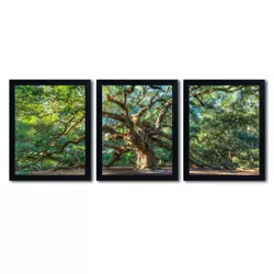 3pc Angel Oak Charleston by Pierre Leclerc - Trademark Fine Art