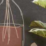 navy, beige, denim, gray, mustard, off white