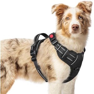 rabbitgoo Dog Harness Medium Sized, No Pull Pet Harness with 3 Buckles, , Walking Reflective Pet Vest for Medium Dogs, Black, M - 1 of 1