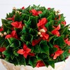 Nearly Natural 22" UV Resistant Artificial Red Tip Photinia Christmas Ball in Decorative Planter (Indoor/Outdoor) - 2 of 4
