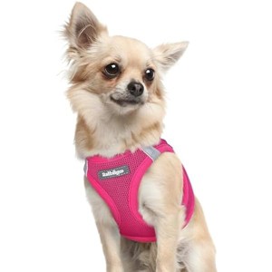 rabbitgoo Small Dog Harness, Step-in Soft Mesh Puppy , Breathable Reflective Pet Harness for Extra Small Dogs, Rose Red XXXS - 1 of 1