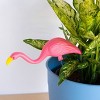 Bloem 2pk - 11" Galvanized Steel Resin & Plastic Mini Mingo Outdoor Sculpture Pink - 4 of 4