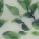 porcealin vine