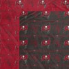 NFL Tampa Bay Buccaneers Home & Away Ultra Soft Blanket - 2pk - 2 of 2