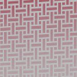 washington state cougars