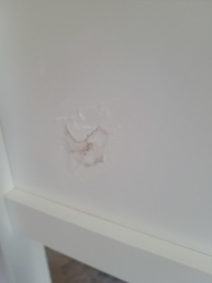 Guest review image 3 of 3, zoom in