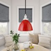 Hudson and Canal 8" Wide Pendant with Metal Shade - 3 of 4