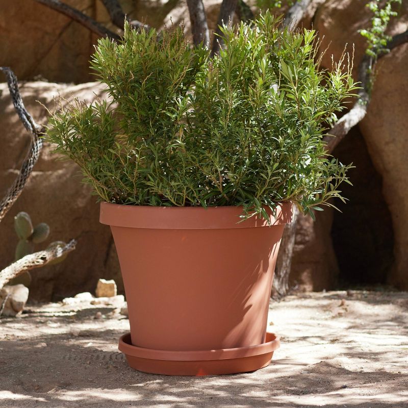 Bloem Terra Pot Planter, 6 of 8