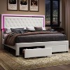 Bed Frame with LED Lights&Storage Drawers, Velvet Upholstered Platform Bed - 2 of 4