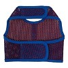Doggie Design Active Mesh Dog Harness with Leash - Blue & Red - 2 of 4