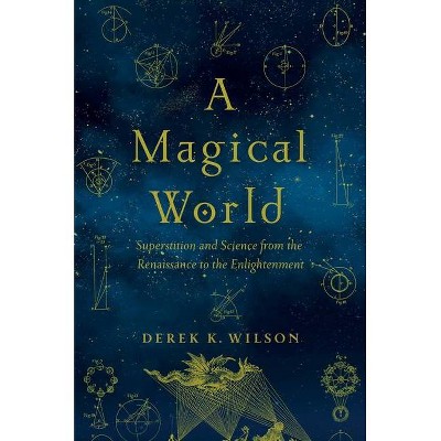 A Magical World - by  Derek K Wilson (Paperback)