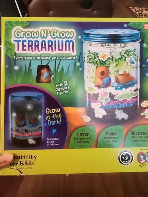 Guest review image 1 of 2, zoom in