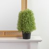 Northlight Artificial Boxwood Cone Topiary Tree with Round Pot - 15" - Unlit - 2 of 4