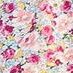 new-pink floral 1