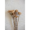 Wooden Deco Roses on Stems – Natural Dried Botanical Accent 4" Tall by Kalalou - 2 of 3