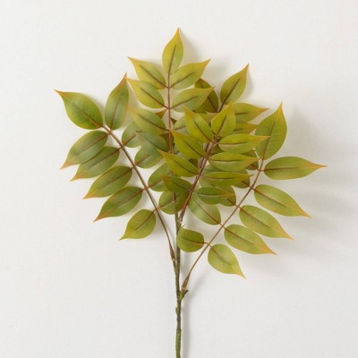 Sullivans Artificial Yellow Green Ruscus Spray 24"H; Green