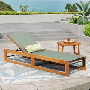 Christopher Knight Home Emile Outdoor Mesh and Acacia Wood Chaise Lounge - 1 of 4