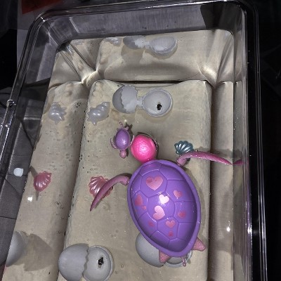 Guest review image 1 of 1, zoom in