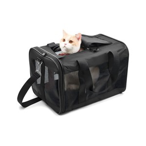 LAOTIES Soft Sided Pet Carrier for Cats And Small Dogs,Airline Approved,Collapsible And Ventilated with Safety Zippers (17"x12"x12") - 1 of 4