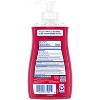 Dial Antibacterial Frosted Cranberry & Pine Gel Pump Hand Soap - 11oz - 2 of 4