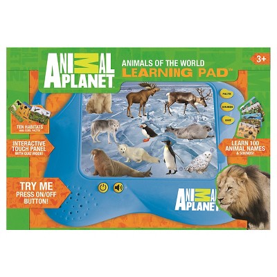 animal learning toys