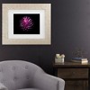 Trademark Fine Art - Brian Carson Backyard Flowers 57 Matted Framed Art - image 2 of 4