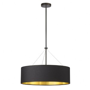 Dainolite Pallavi 4 - Light Pendant in  Matte Black - 1 of 1