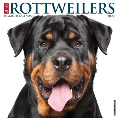 2022 Wall Calendar Just Rottweilers - Willow Creek Press