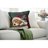 Liora Manne Marina Holiday Indoor/Outdoor Pillow.. - 2 of 4