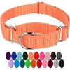 Country Brook Design Martingale Heavyduty Nylon Dog Collar - 4 of 4