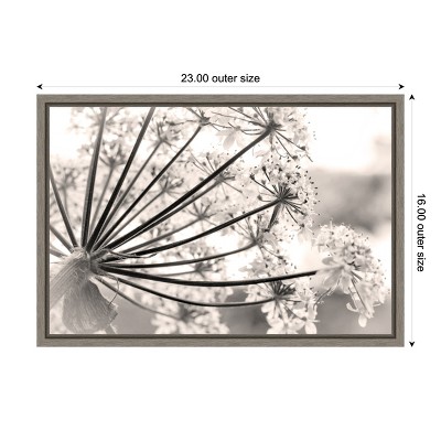 Floral Cow Parsnip Black and White Framed Canvas Print