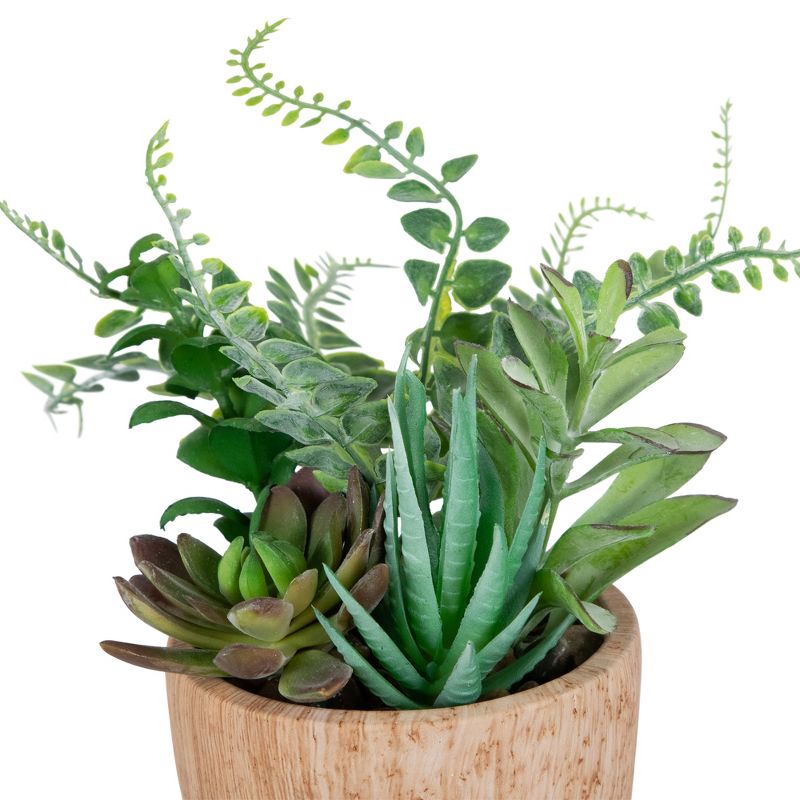 Northlight 12" Mixed Succulents and Fern Artificial Potted Arrangement - Green/Brown, 4 of 7