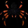 Northlight Lighted Spider Halloween Decoration - 4.5' - Black and Orange - Purple LED Lights - 3 of 4