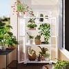 Indoor and Outdoor 62inch Greenhouse, Height Wood Large Greenhouse for Balcony, Greenhouse with Wheels and Adjustable Shelves-Coolbibila - 2 of 4