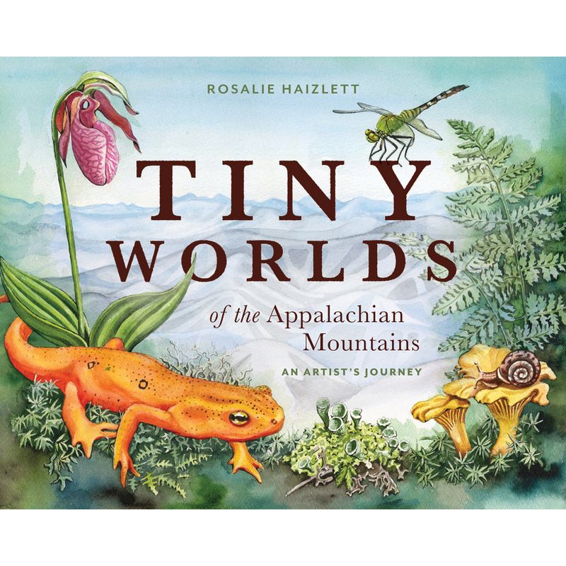 Tiny Worlds of the Appalachian Mountains - by  Rosalie Haizlett (Hardcover), 1 of 2
