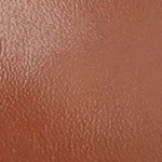 chestnut