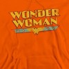 Dc Wonder Woman Logo Adult Pull-Over Hoodie - 2 of 4