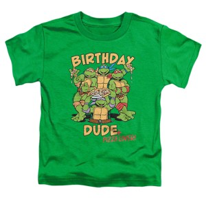 Toddler Boys' Teenage Mutant Ninja Turtles Birthday Dude Pizza