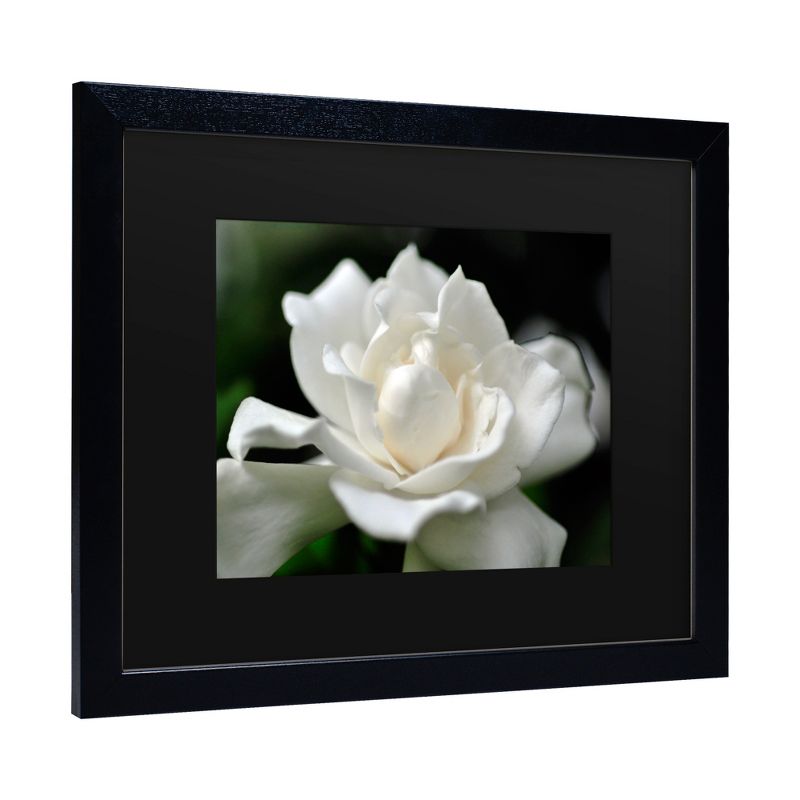 Trademark Fine Art -Kurt Shaffer 'Lovely Gardenia' Matted Framed Art, 1 of 5