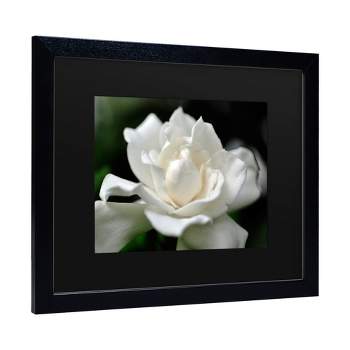 Trademark Fine Art -Kurt Shaffer 'Lovely Gardenia' Matted Framed Art
