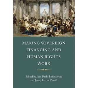 Making Sovereign Financing and Human Rights Work - by  Juan Pablo Bohoslavsky & Jernej Letnar Cernic (Hardcover) - 1 of 1