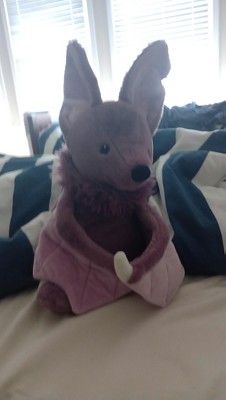 Guest review image 1 of 2, zoom in