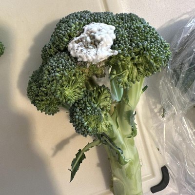 Broccoli Bunch - Each : Target