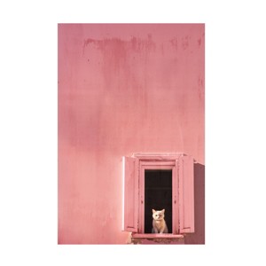 Trademark Fine Art - Decent Exposures Guardian of the Pink Canvas Art - 1 of 4