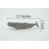 Collectible Wildlife Gifts | Whale, Sperm whale, High Quality, Hand Painted, Rubber, Pelagic Marine Mammal, Realistic, Toy, Gift,  3 1/2 " CH643 BB168 - 3 of 4