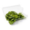 Organic Cilantro - 0.5oz - Good & Gather™ - 3 of 4