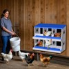 Chicken Nesting Box,Chicken Egg Laying Box with Compartments, Roll Away Eggs Laying Boxes, Nesting Boxes, indoor & Outdoor Use,Easy Egg Collection - 3 of 4